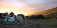 Camp